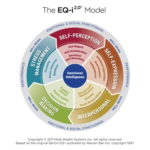 A wheel graphic that illustrates key areas measured in the EQ-i 2.0 Model: - STRESS MANAGEMENT - SELF-PERCEPTION - SELF-EXPRESSION - INTERPERSONAL - DECISION MAKING