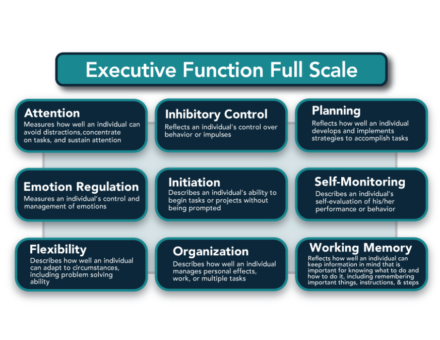 Executive Function Full Scale:Attention - Measures how well an individual can avoid distractions, concentrate on tasks, and sustain attention. Inhibitory Control - Reflects an individual's control over behavior or impulses. Planning - Reflects how well an individual develops and implements strategies to accomplish tasks. Emotion Regulation - Measures an individual's control and management of emotions. Initiation - Describes an individual's ability to begin tasks or projects without being prompted. Self-Monitoring - Describes an individual's self-evaluation of his/her performance or behavior. Flexibility - Describes how well an individual can adapt to circumstances including problem solving ability. Organization - Describes how well an individual manages personal effects, work, or multiple tasks. Working Memory - Reflects how well an individual can keep information in mind that is important for knowing what to do and how to do it, including remembering important things, instructions, & steps.